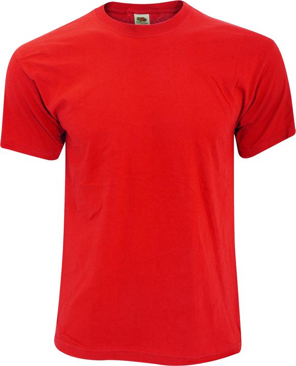 Fruit of the Loom Screen Stars Original TShirt