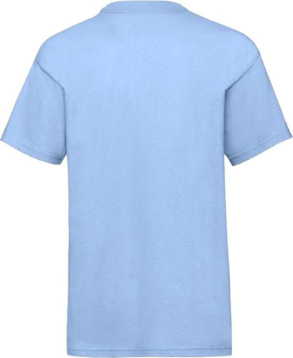 Actual product image Fruit of the Loom UTBC4269 P (92)