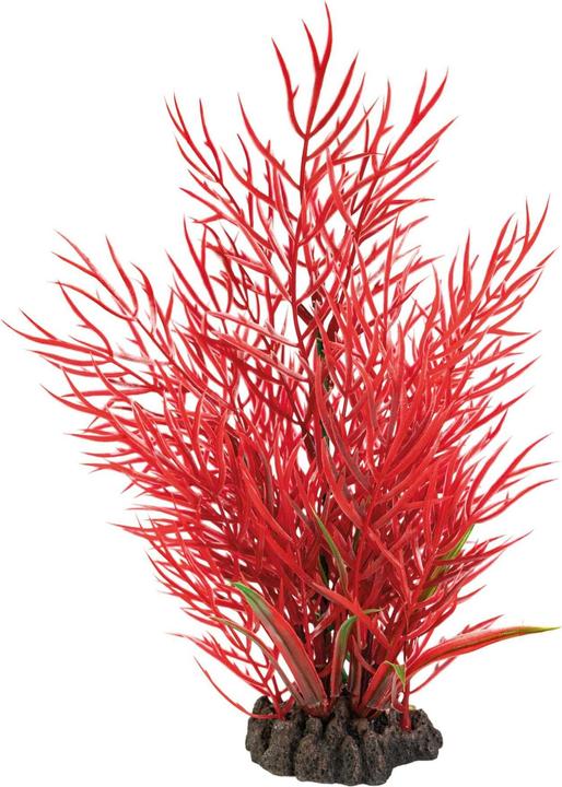 Produktbild SuperFish Kunstpflanze Ludwigia, 25 cm (Pflanzen, sonstige Gegenstände)