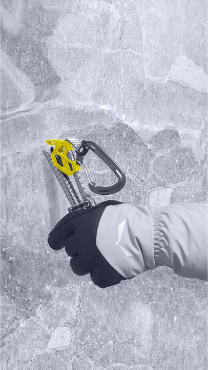 Actual product image Salewa Quick Screw 180 mm