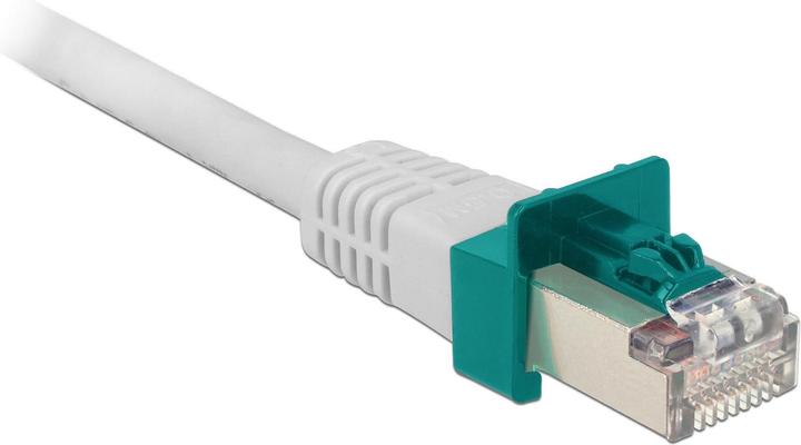 Actual product image Delock RJ45 Locking Clips Set of 40 (Cable Accessories)
