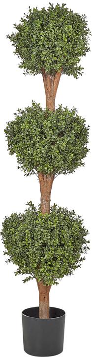Image du produit Beliani Buxus Ball Tree (154 cm)