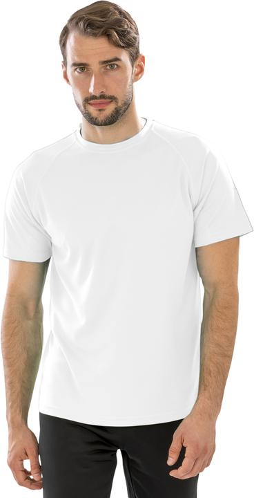 Actual product image Spiro UTPC3166 P (L)