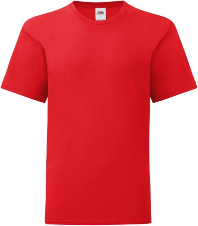 Fruit of the Loom UTPC3388 P