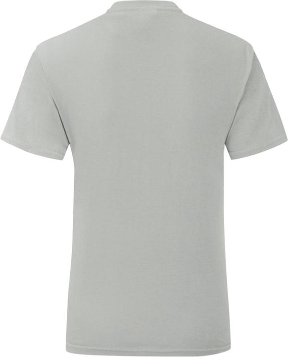 Actual product image Fruit of the Loom UTPC4369 P (L)