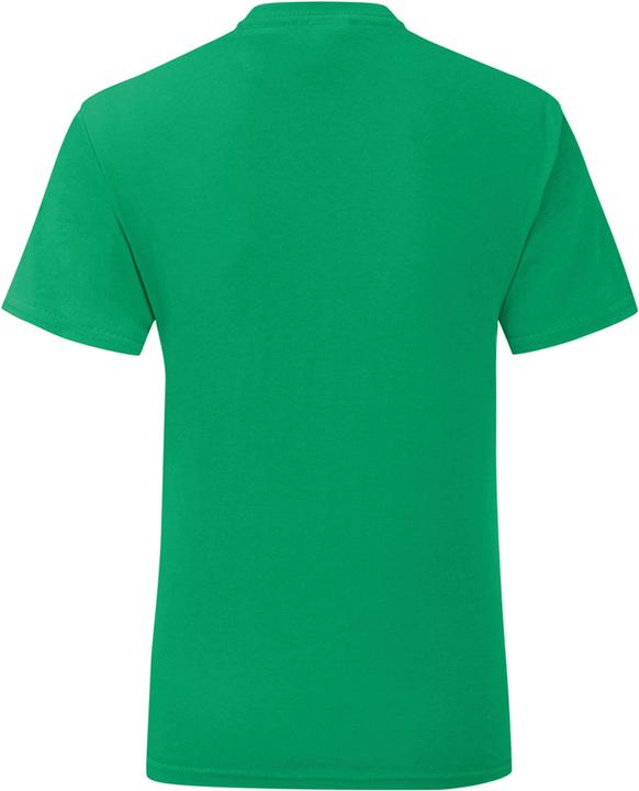 Produktbild Fruit of the Loom UTPC4369 P (XL)