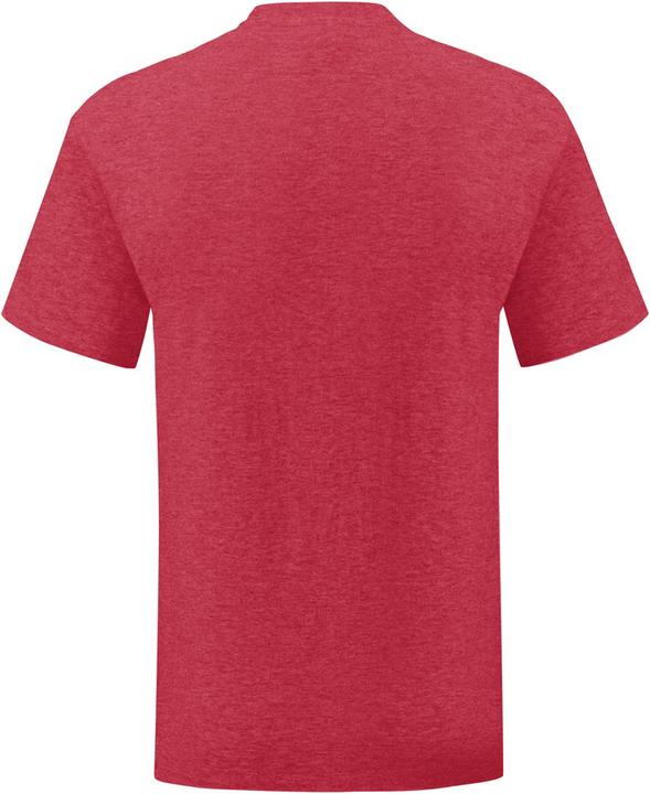 Actual product image Fruit of the Loom UTPC3389 P (L)