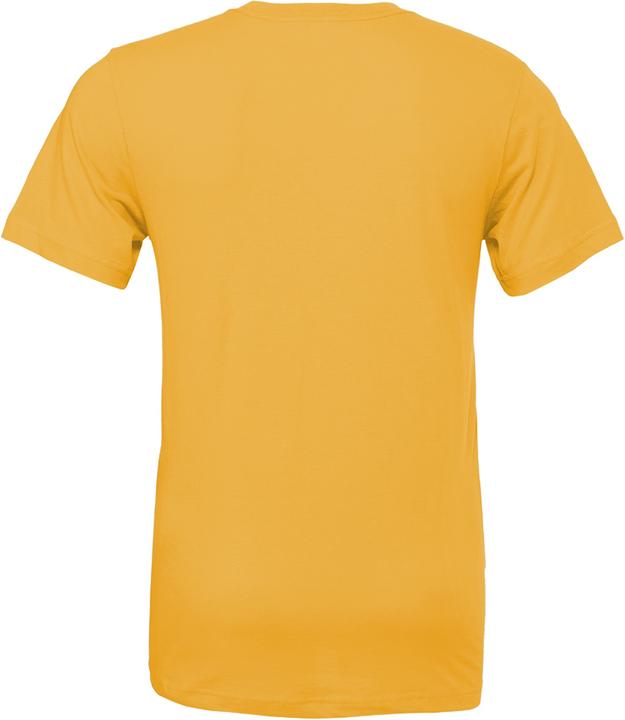 Actual product image Bella Canvas CVC TShirt adults (XL)