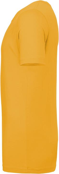 Actual product image Bella Canvas CVC TShirt adults (XL)