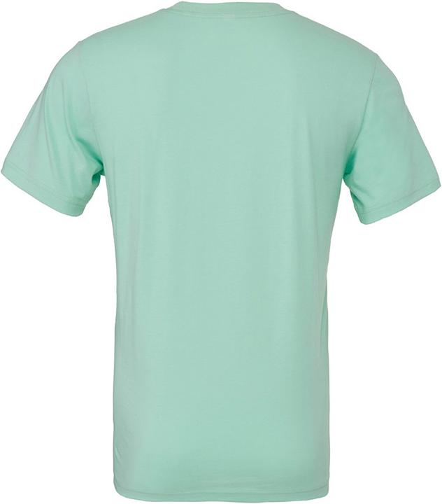 Actual product image Bella Canvas CVC TShirt adults (XS)