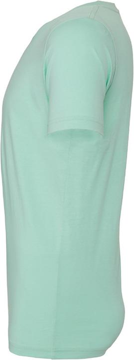 Actual product image Bella Canvas CVC TShirt adults (XS)