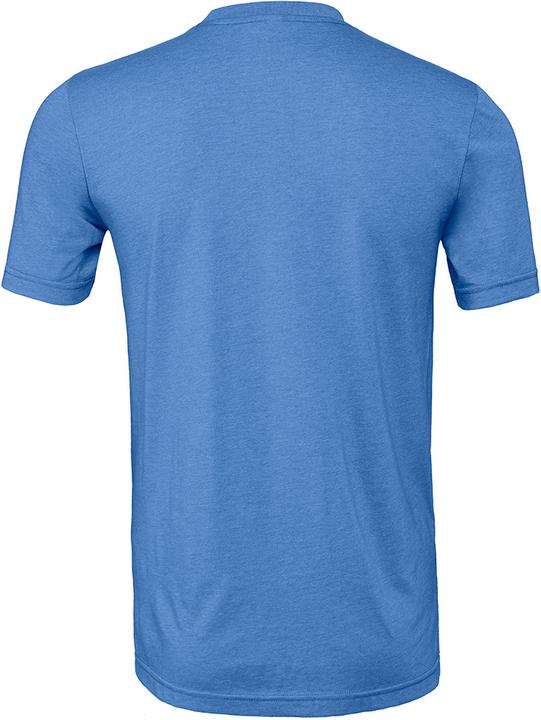 Actual product image Bella Canvas CVC TShirt adults (L)