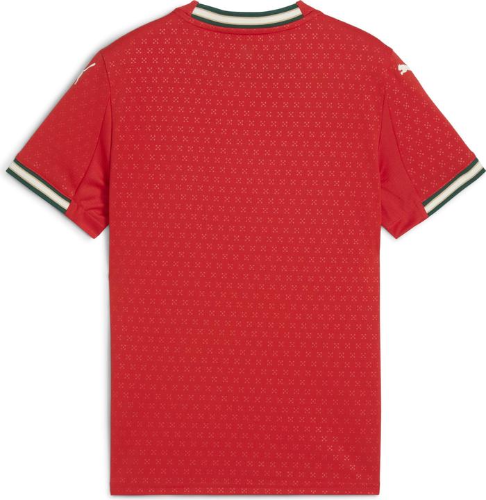 Immagine prodotto Puma Maglia FPF Home Replica Jr (176)
