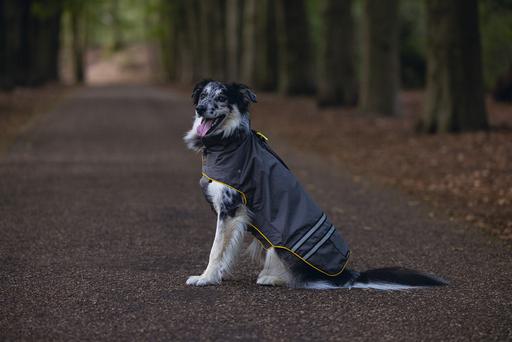 Actual product image Beeztees Dog Raincoat Seja (XL, Dog raincoat)