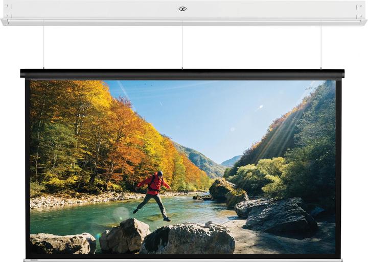 Projecta DescenderPro (122.05", 16:9)