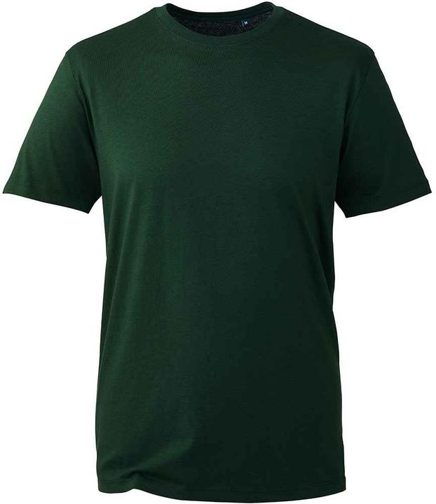 Verde foresta