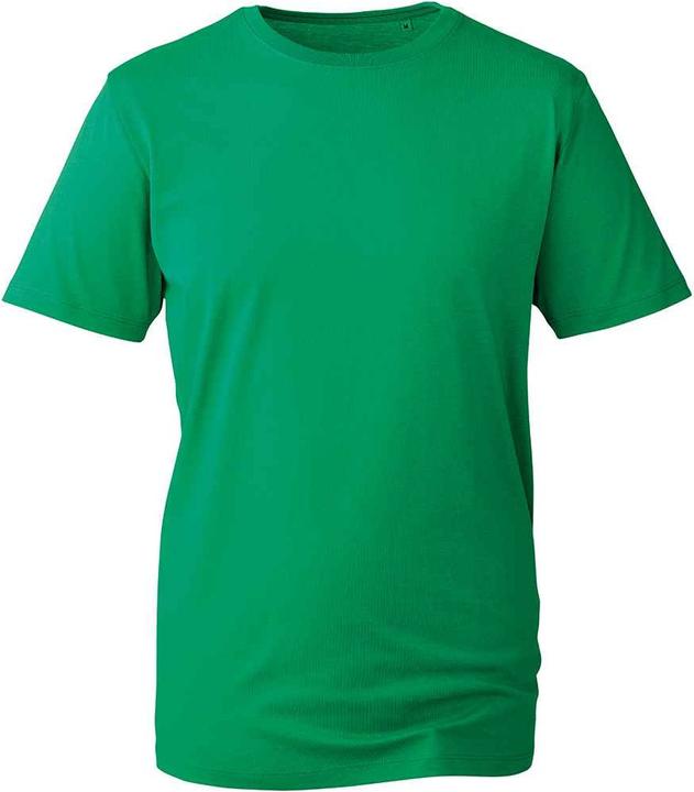 Verde Kelly