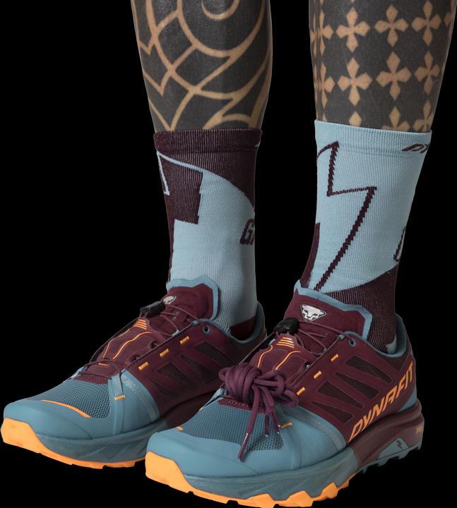 Produktbild Dynafit Alpine Pro 2 Laufschuh (44.5)