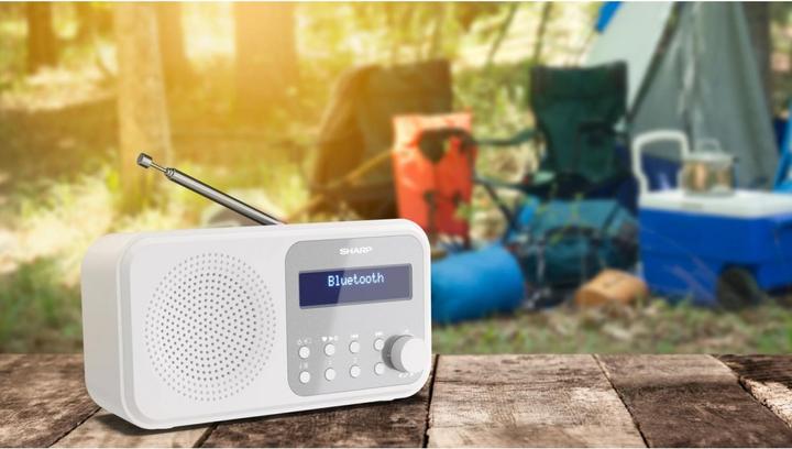Immagine prodotto Sharp DR-P420 (DAB, FM, Bluetooth)