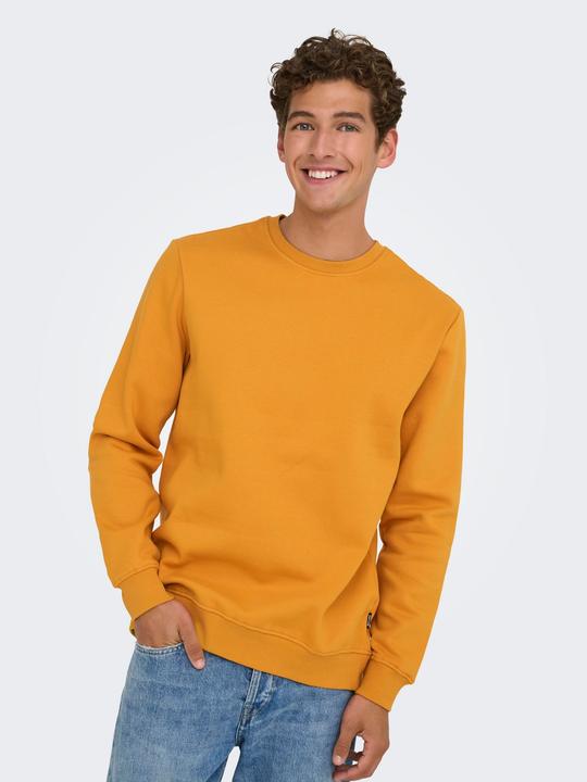 Image du produit Only & Sons Onsconnor Reg Crew Neck Sweat Noos (XL)