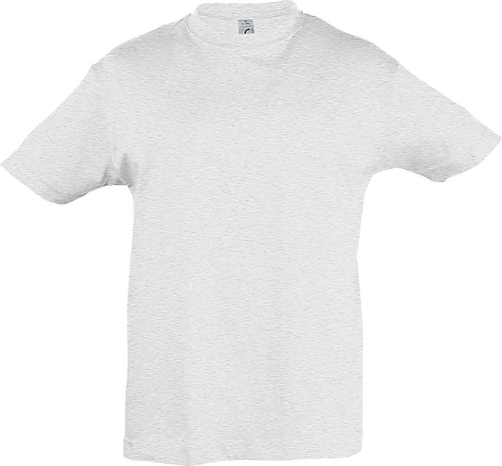 Sols Regent TShirt Kurzarm
