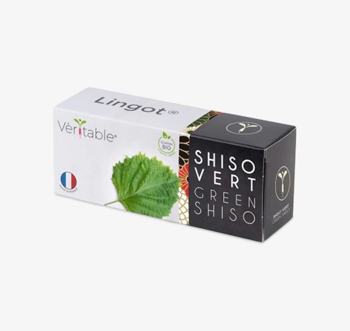 Image du produit Véritable Lingot Shiso verte BIO