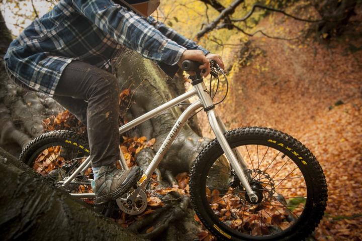 Image du produit Early Rider Belter Trail 3 (20")