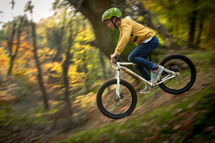 Image du produit Early Rider Belter Trail 3 (20")