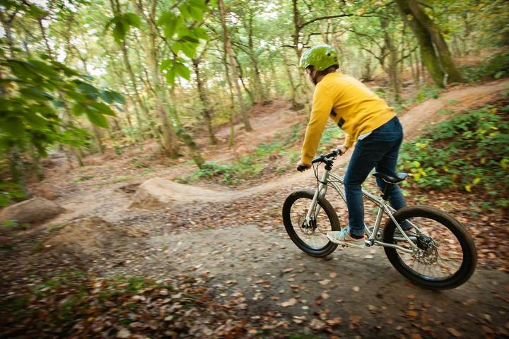 Image du produit Early Rider Belter Trail 3 (20")