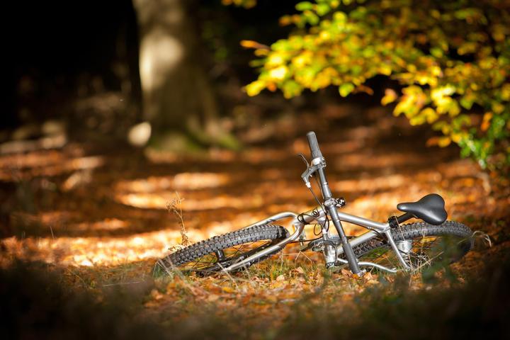Image du produit Early Rider Belter Trail 3 (20")