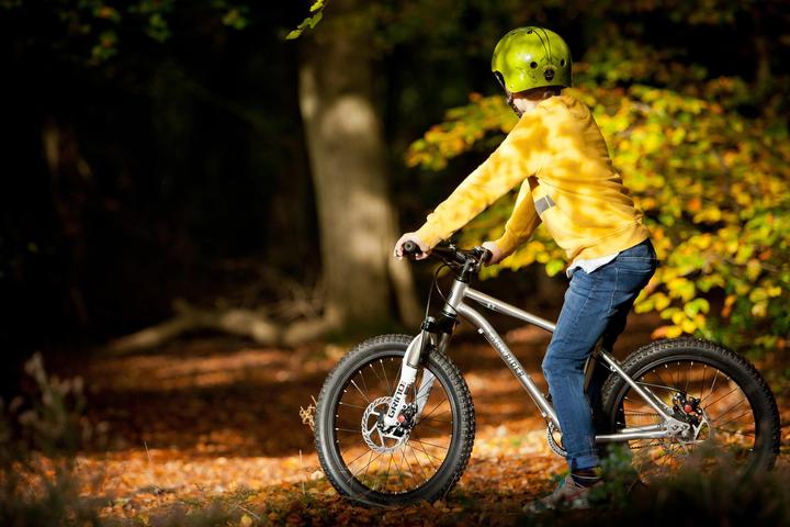 Image du produit Early Rider Belter Trail 3 (20")