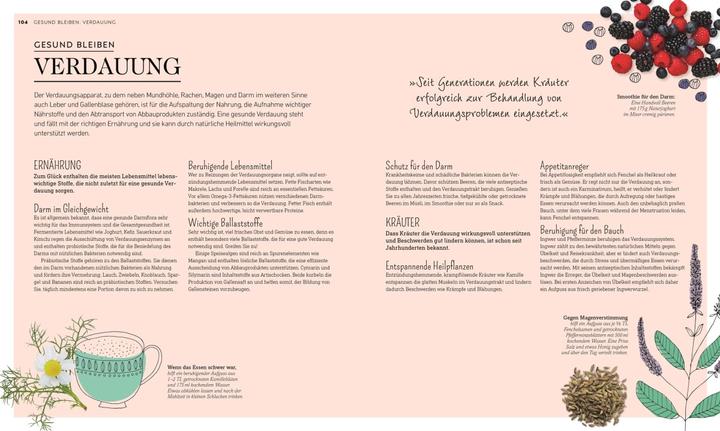 Produktbild Die grüne Hausapotheke (Deutsch, Pat/Wood, Curtis, Susan/Thomas, Julieua, 2019)