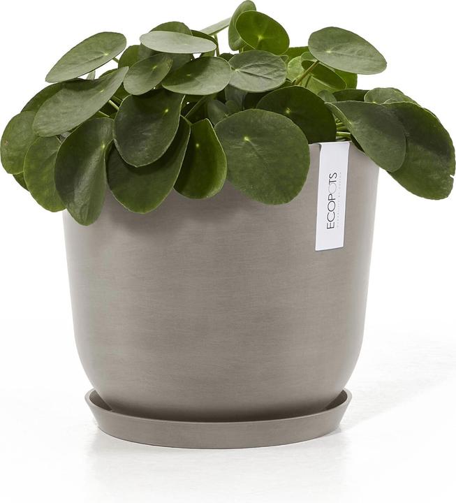 Immagine prodotto Ecopots Saucer Rund 21