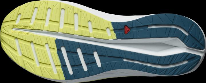 Actual product image Salomon Aero Blaze men's running shoes (42)