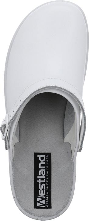 Actual product image Westland 31311-95 (37)