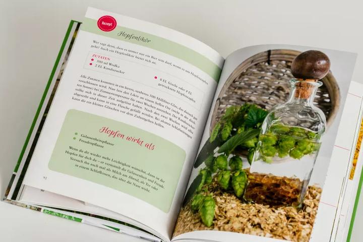 Produktbild Fräulein Grüns Wohlfühl-Kräuter (Deutsch, Karina Reichl, 2021)