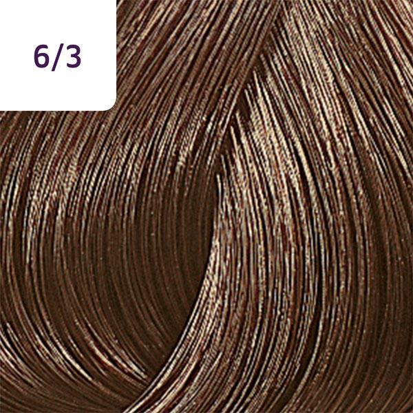 Produktbild Wella Color Touch Rich Naturals (6/3 dunkelblond gold)