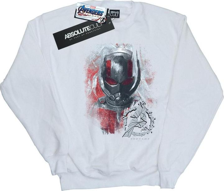 Avengers Endgame AntMan Brushed Sweatshirt Jungen