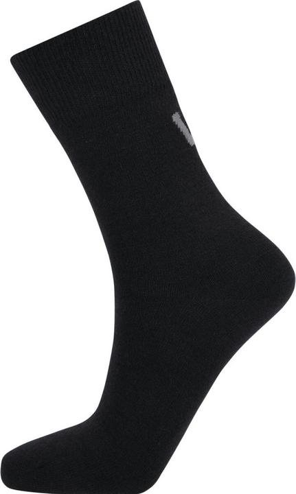 Actual product image Whistler Zappa (43, 47)