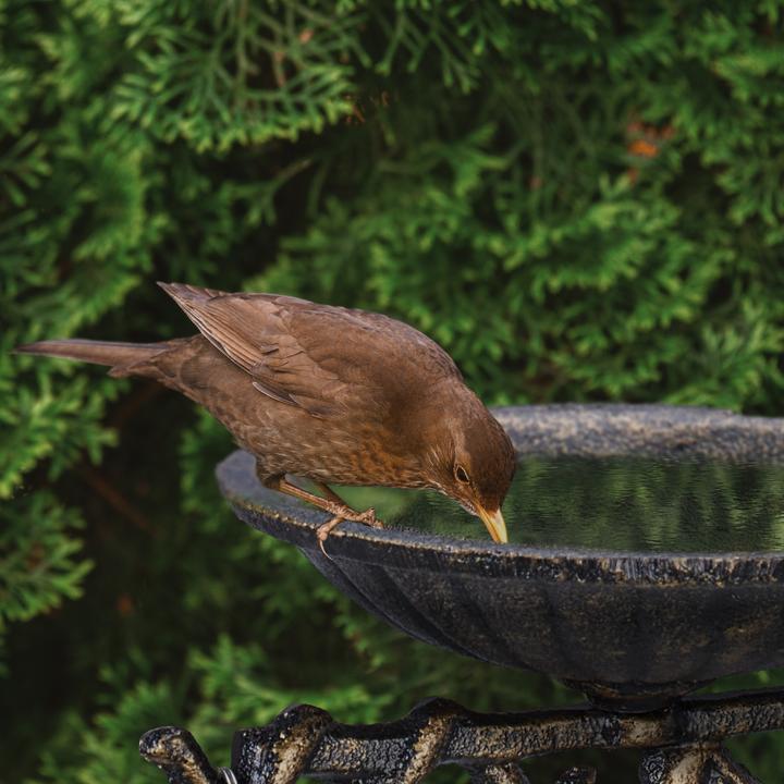 Actual product image Relaxdays Birdbath