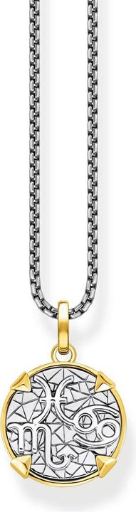 Immagine prodotto Thomas Sabo Elements of Nature Collana in oro (Argento 925, 45 - 50 cm)