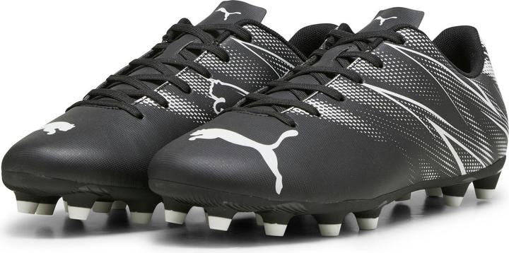 Black/Silver