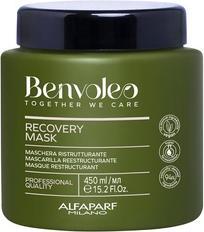 Alfaparf Alfa Benvoleo Recovery Mask 450ml (450 ml)