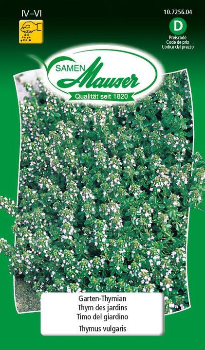 Actual product image Samen Mauser Garden thyme (Herb seeds)