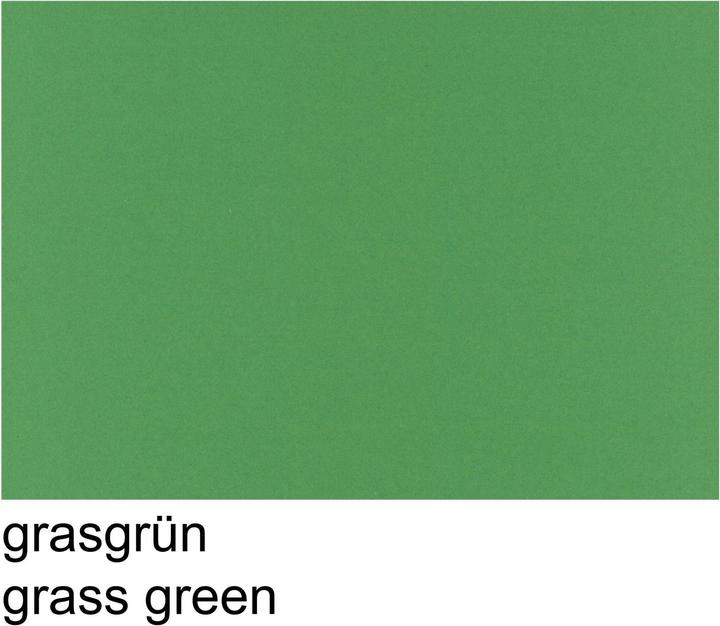 Produktbild Papyrus Tonzeichen A4 130g grasgr (130 g/m², 100 x)
