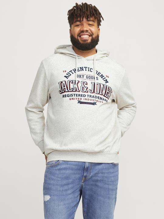 Actual product image Jack & Jones JJELOGO SWEAT HOOD 2 COL 24/25 NOOS PLS (4XL)