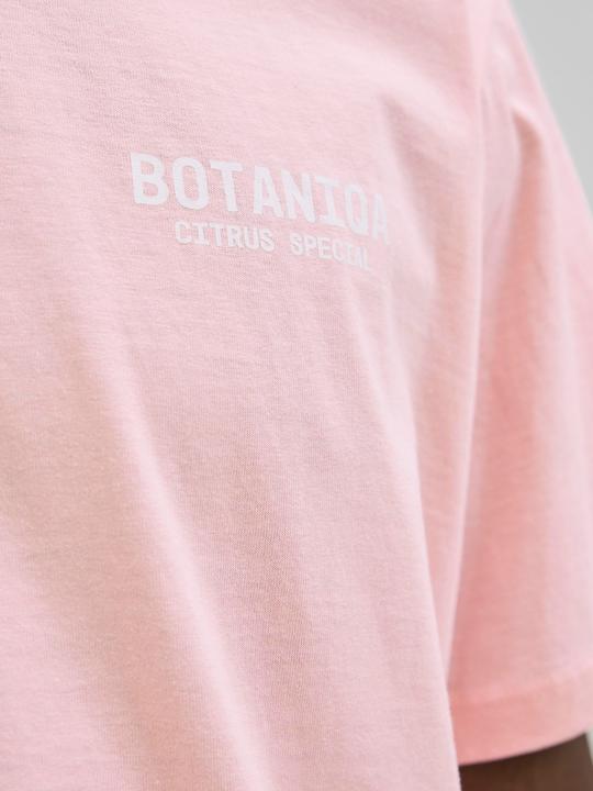 Produktbild Jack & Jones Jorbotaniq Tee Ss Crew Neck Tg Ln (M)