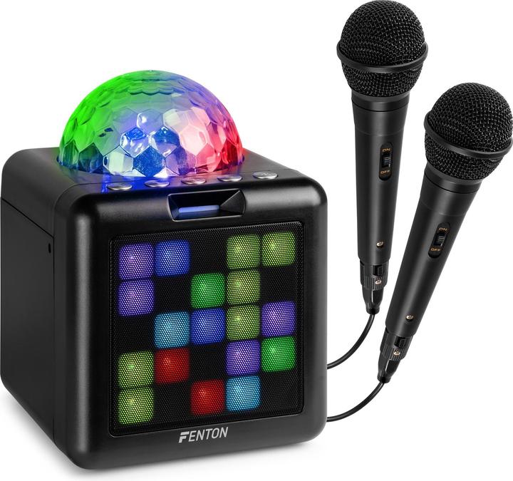 Fenton Haut-parleur KAR15B avec 2 microphones (1x 15 W)