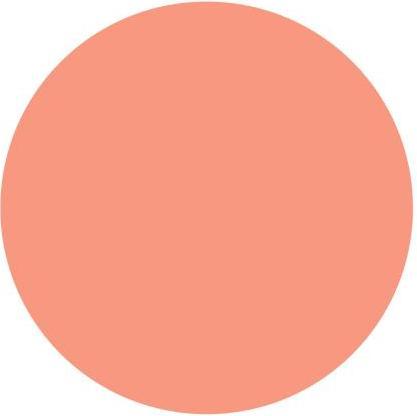 Actual product image Barry M Fresh Face (Peach Glow)