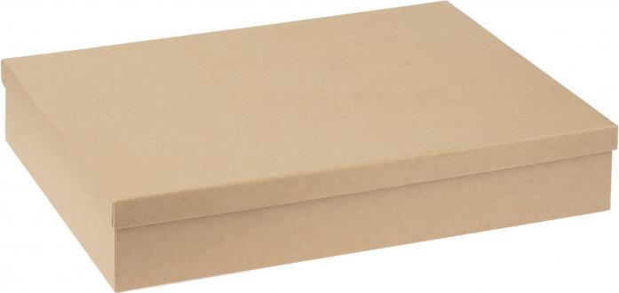 Produktbild Glorex Pappbox rechteckig für DinA4